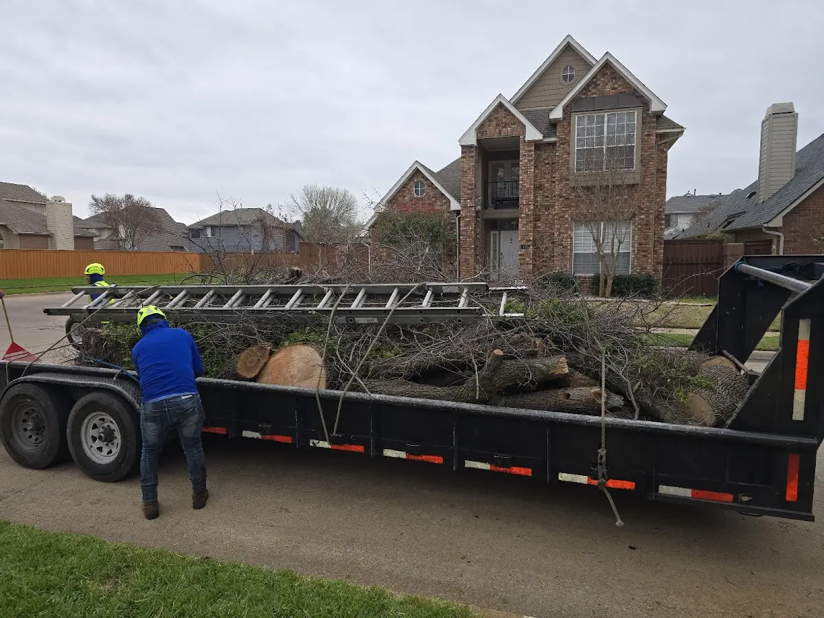 Expert Tree Pest Control with proper safety equipment in Lake Huntington